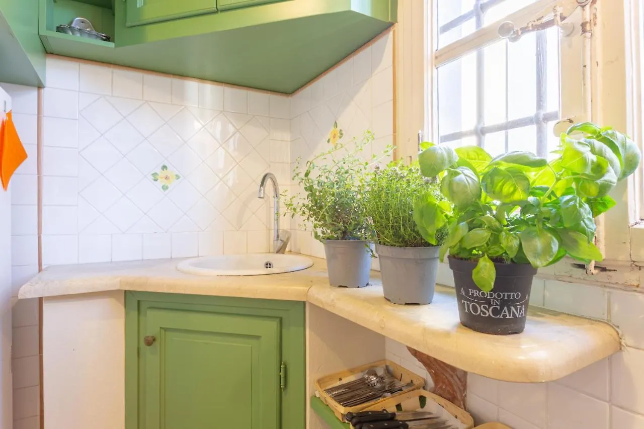 Aromatic Green House Lucca Italy