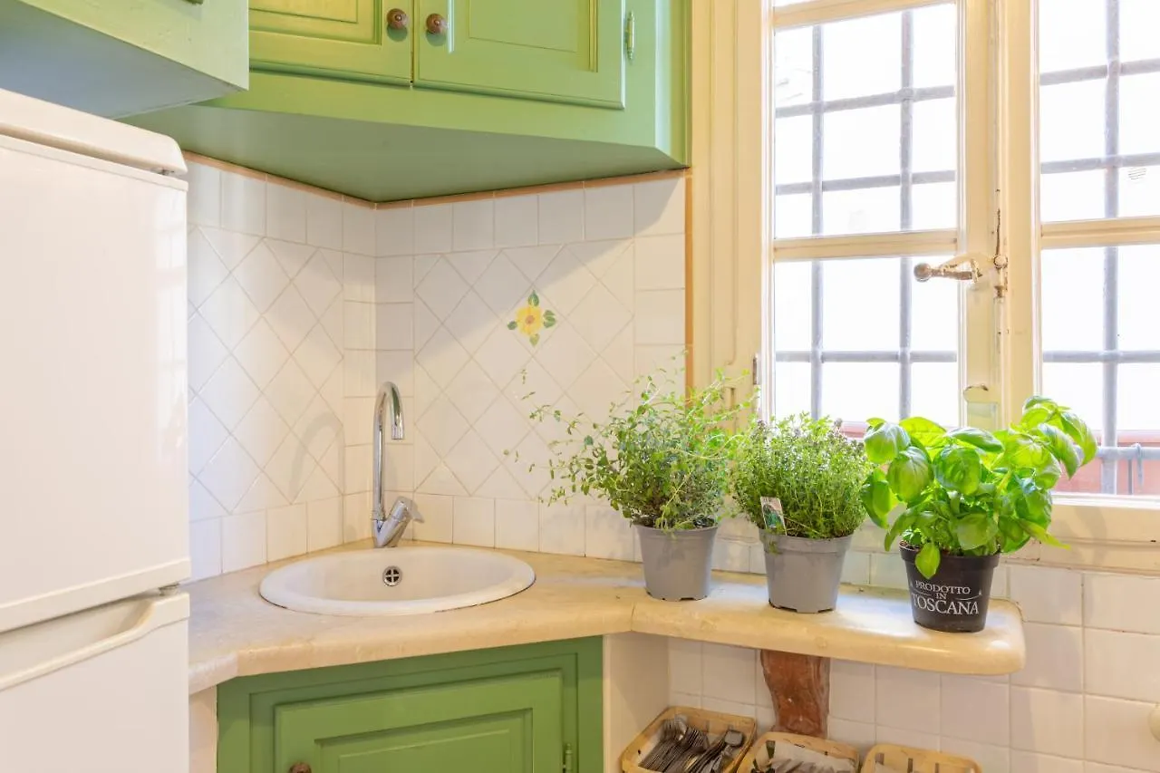Aromatic Green House Lucca