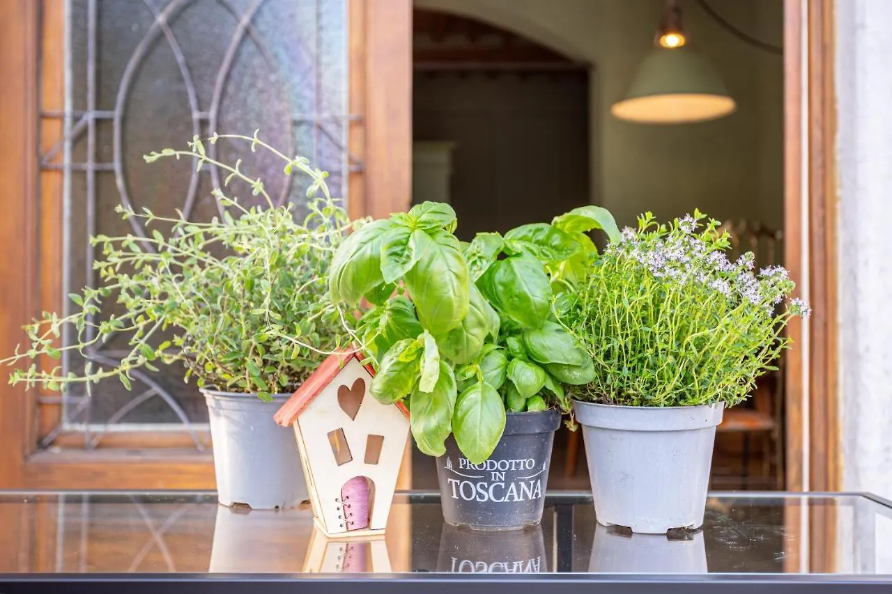 Apartment Aromatic Green House Lucca